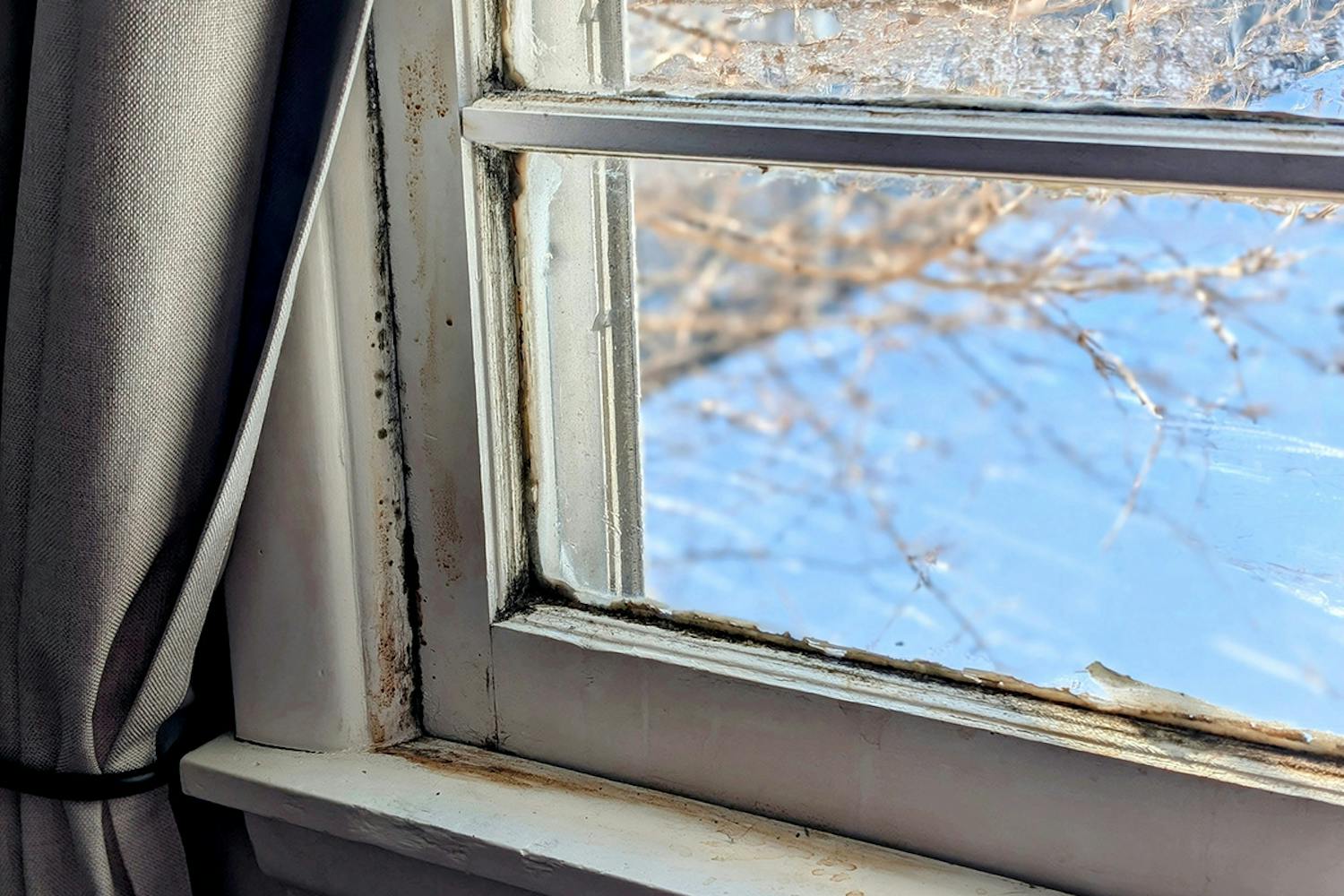 Sopp på tre Sopp på tre